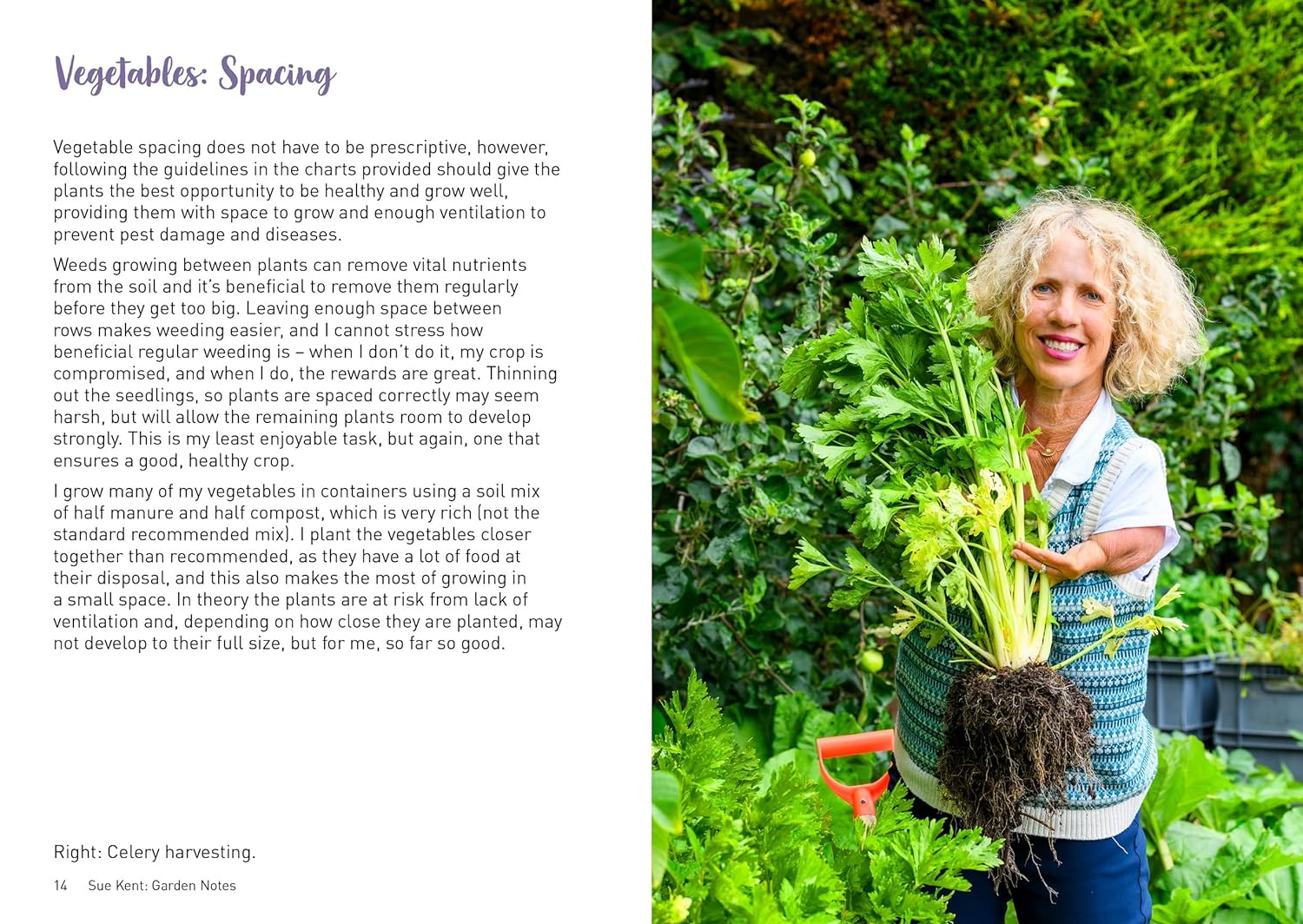 Sue Kent: Garden Notes