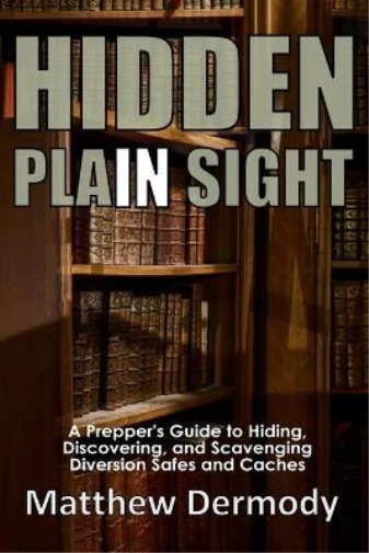 Hidden In Plain Sight