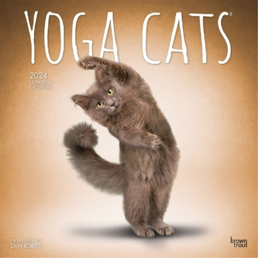 Yoga Cats 2024 Square
