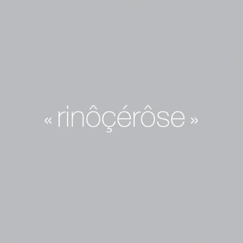 Rinocerose
