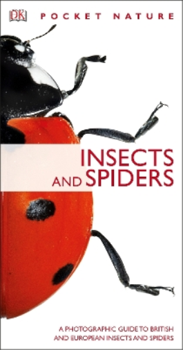 Insects and Spiders