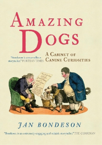 Amazing Dogs