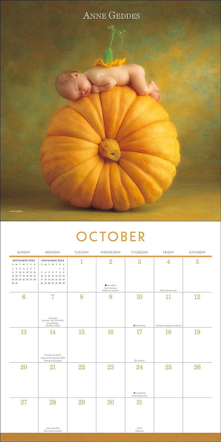 Anne Geddes 2024 Wall Calendar