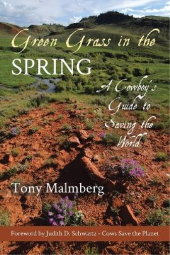 Green Grass in the Spring