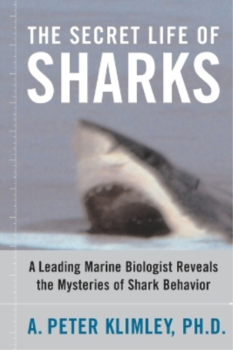 The Secret Life of Sharks