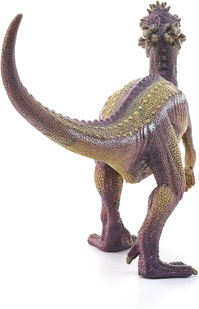 Schleich Dinosaurs, Dinosaur Toy, Dinosaur Toys for Boys and Girls 4-12 years old, Dracorex Multicoloured, 18.7 x 6.1 x 9.6 cm (W x D x H)