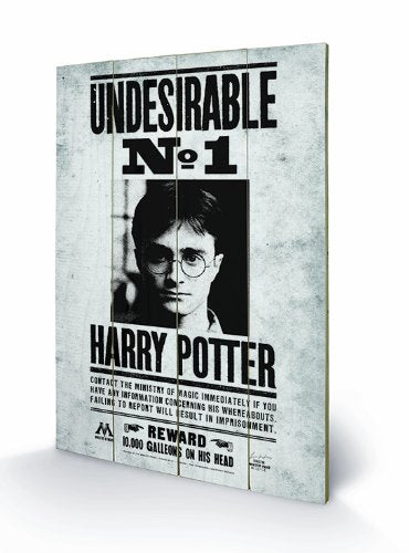 HARRY POTTER - Printing on wood 40X59 - Undesirabl