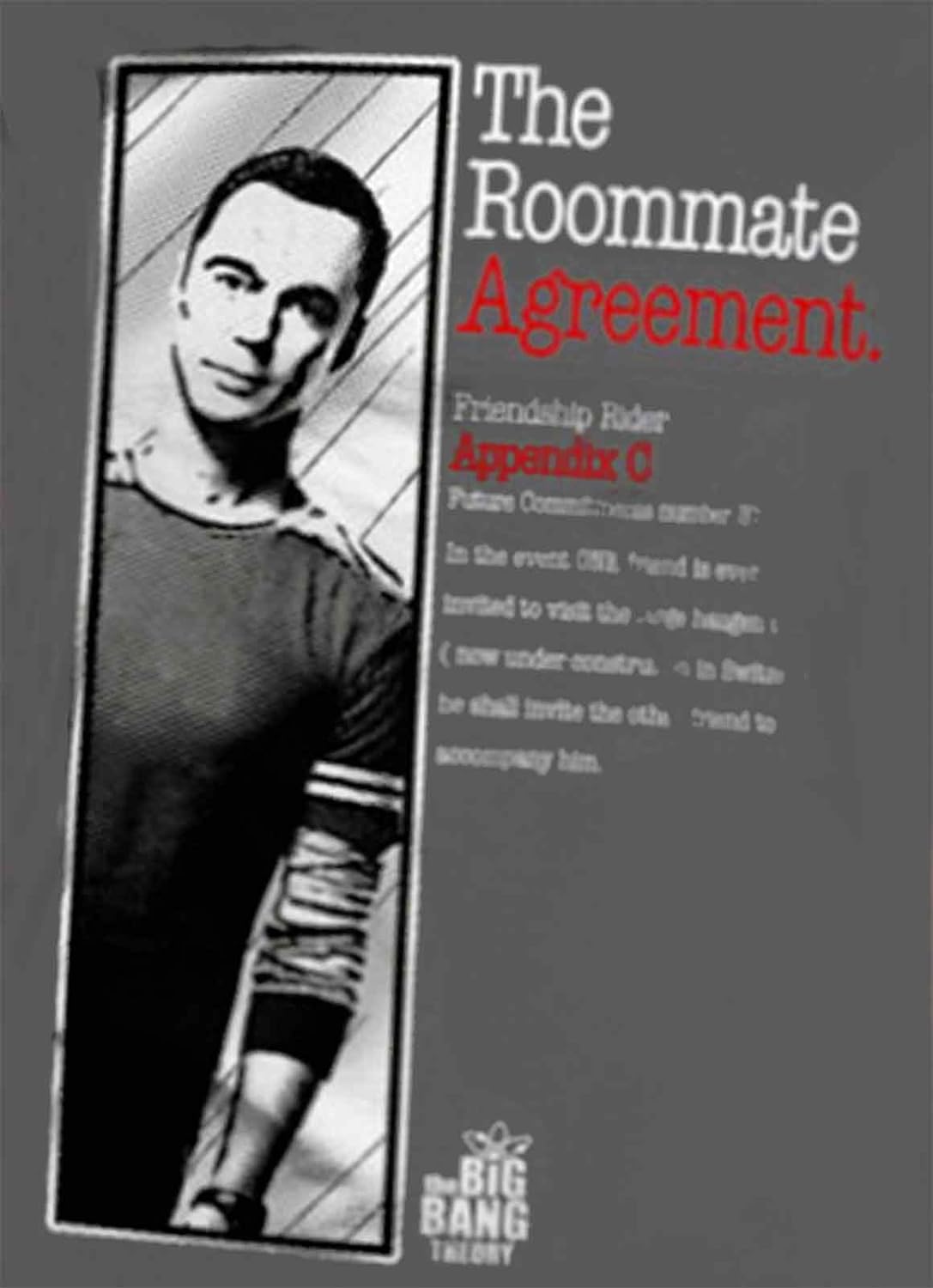 Officially Licensed Merchandise The Roommate Agreement Girly Tee L Dark Grey