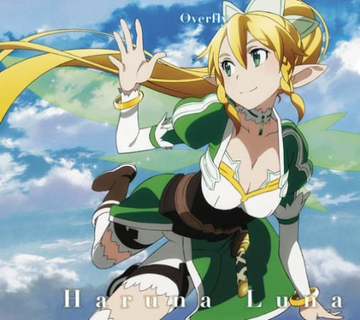 OVERFLY (ltd.)