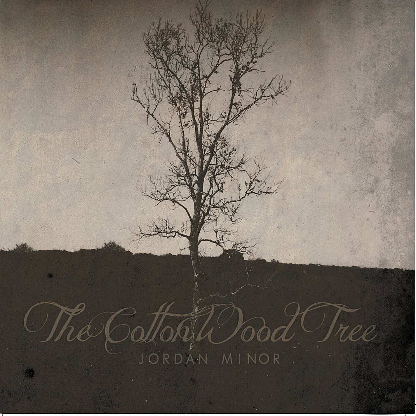 Cottonwood Tree