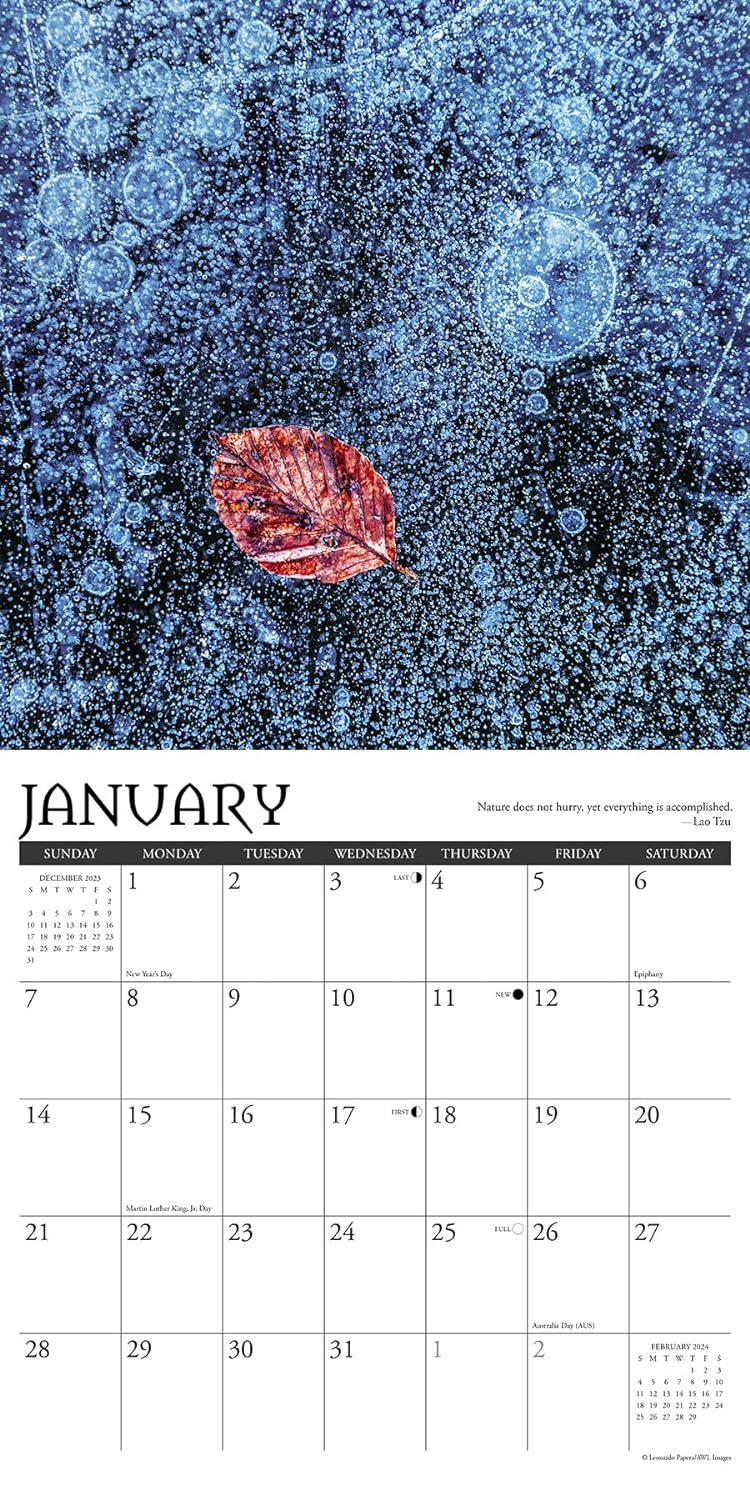 Zen 2024 12 X 12 Wall Calendar
