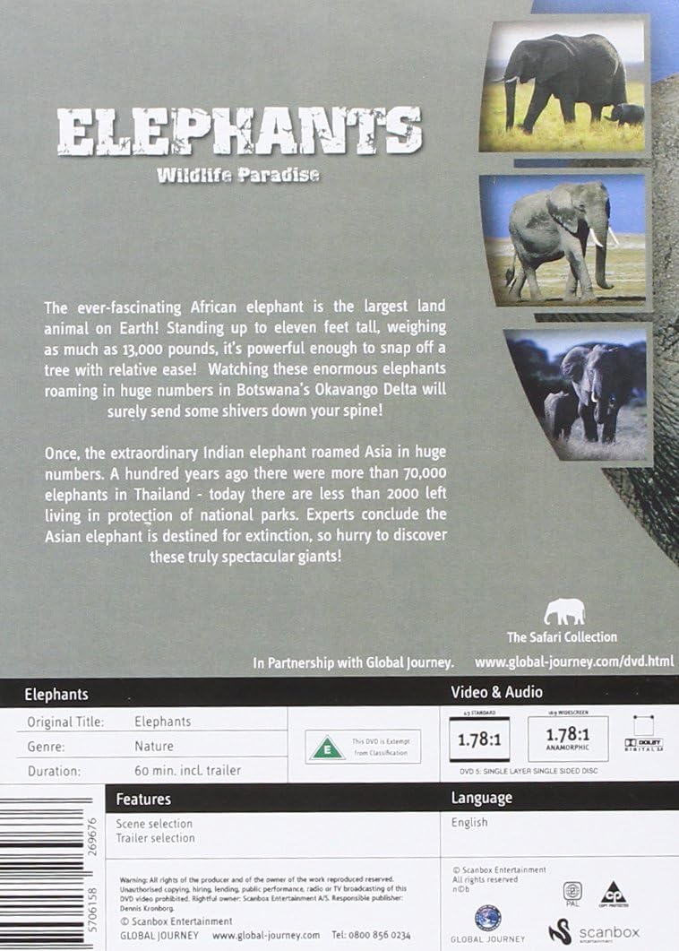Safari: Elephants