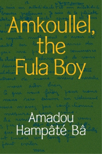 Amkoullel, the Fula Boy