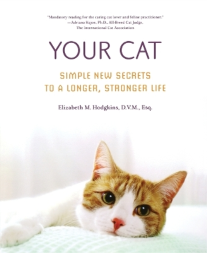 Your Cat
