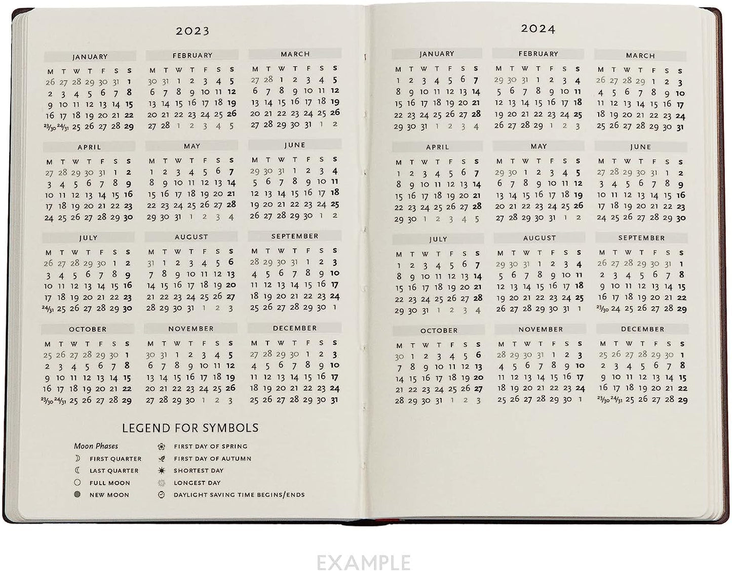 Terrene (Medina Mystic) Mini 18-month Dayplanner 2024