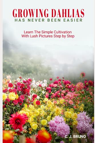 Growing Dahlias Has Never Been Easier