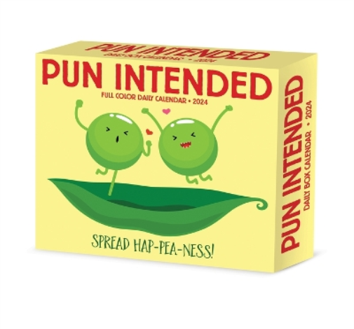 Pun Intended 2024 6.2 X 5.4 Box Calendar