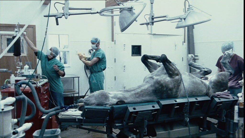 Zoo: KinoKontrovers