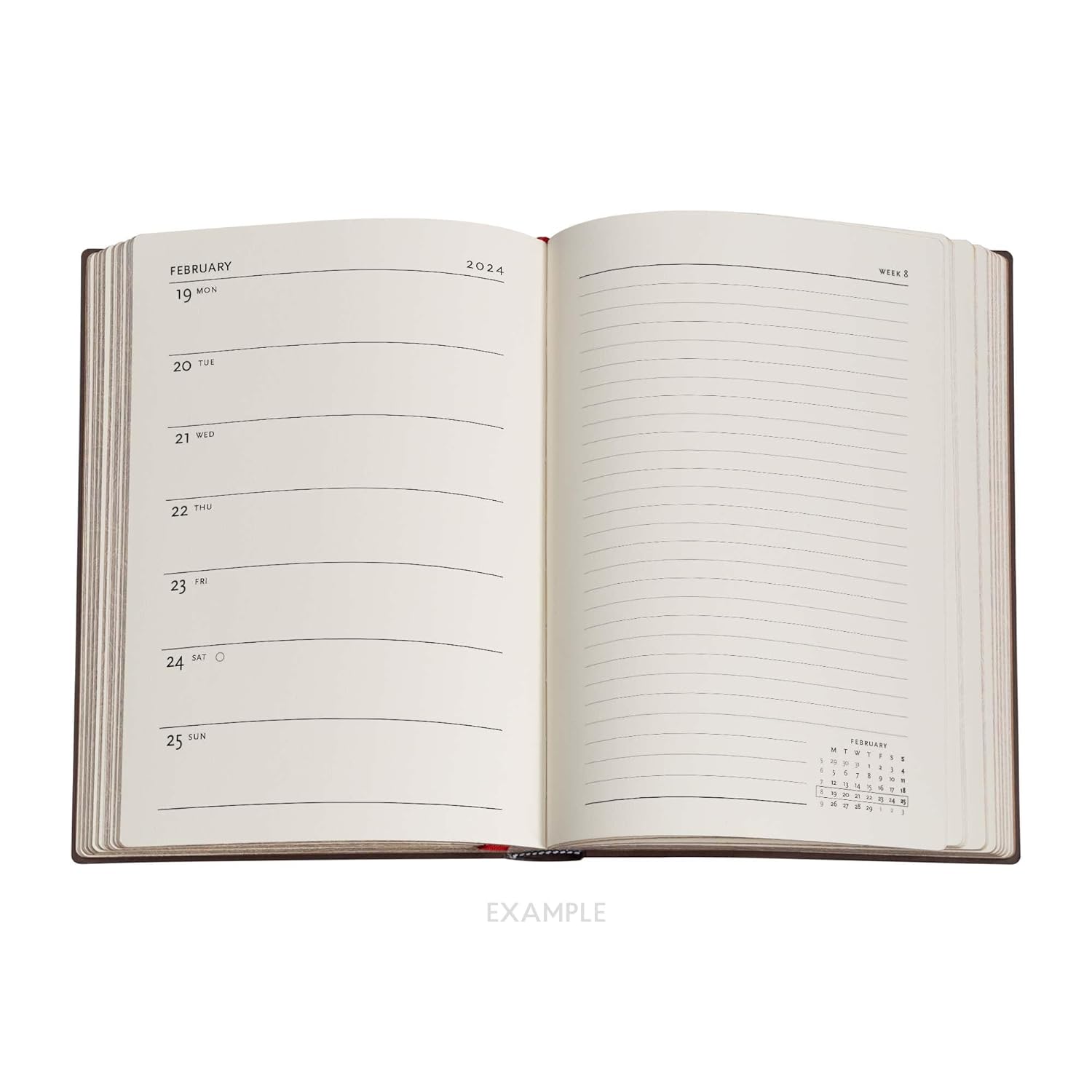 Anemone (William Kilburn) Midi Verso 12-month Dayplanner 2024