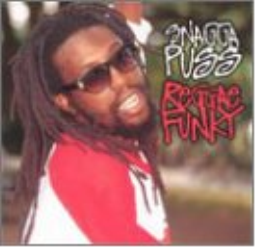 Reggae Funky