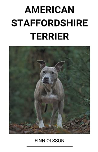 American Staffordshire Terrier