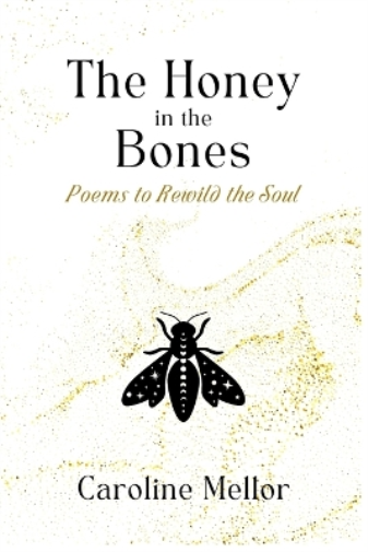 The Honey in the Bones