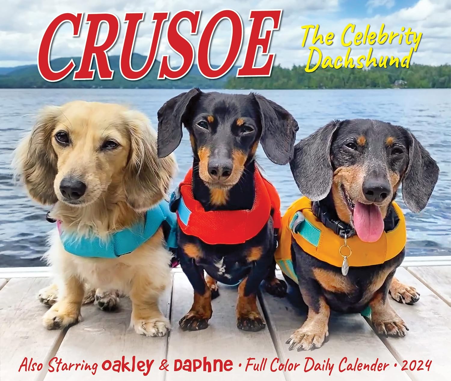 Crusoe the Celebrity Dachshund 2024 6.2 X 5.4 Box Calendar