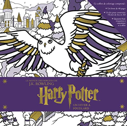HARRY POTTER - Un Hiver à Poudlard