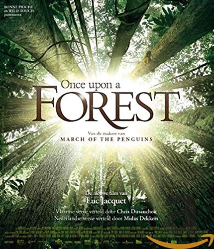 Once upon a forest (Vlaamse versie)