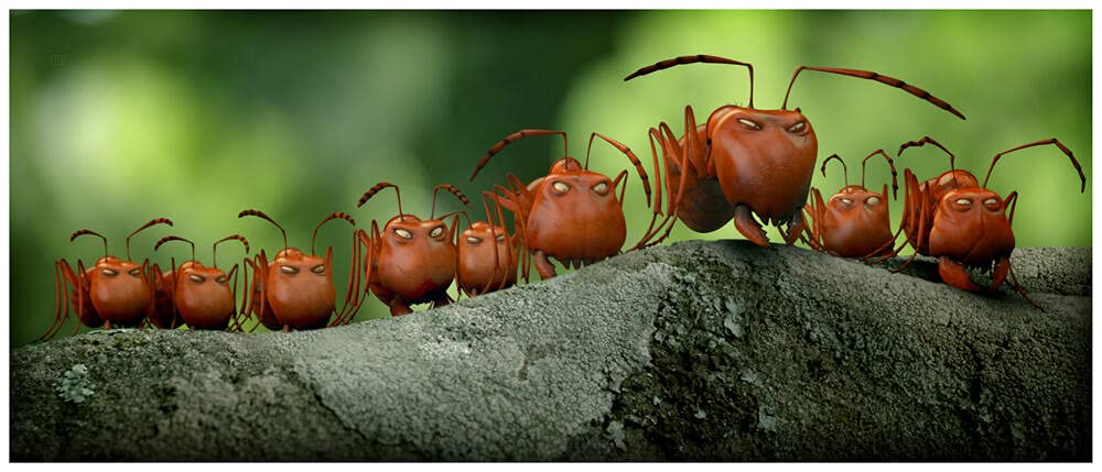 Minuscule, la vallée des fourmis perdues (Combo BLU-RAY 3D + DVD)