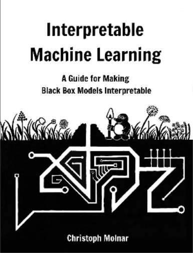 Interpretable Machine Learning