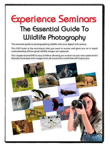The essentail guide to wildlife photography (Import)