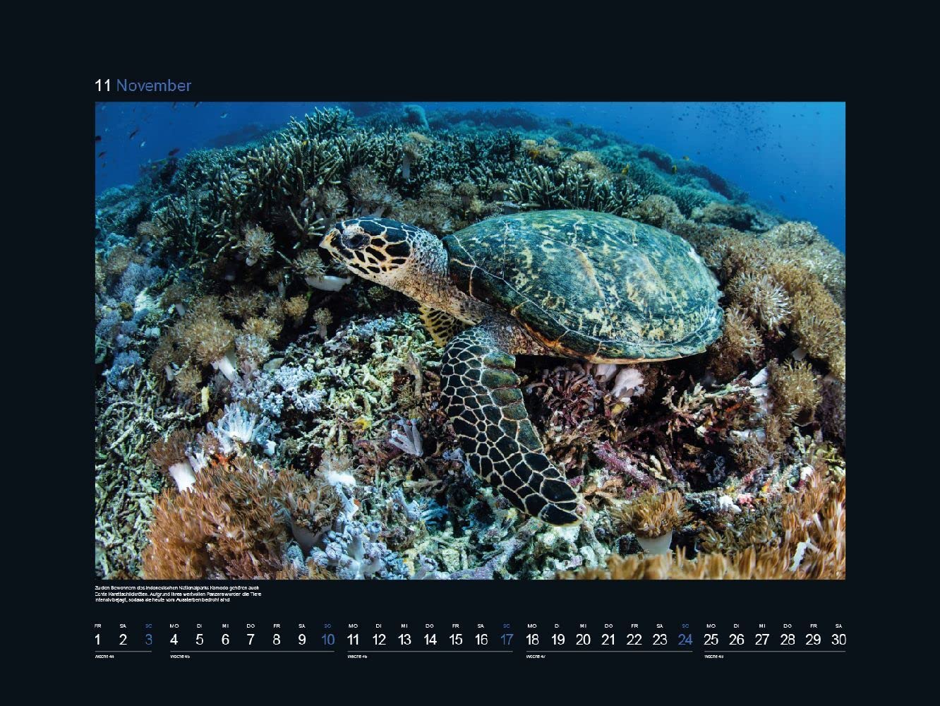 KUNTH Monats-Wandkalender Faszination Meer 2024