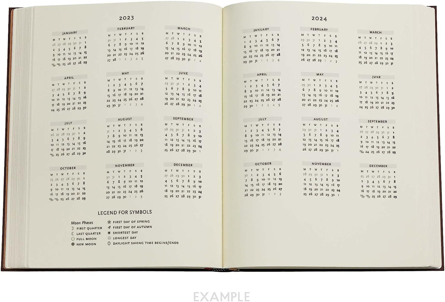 Van Gogh’s Irises (Van Gogh’s Irises) Ultra 18-month Dayplanner 2024