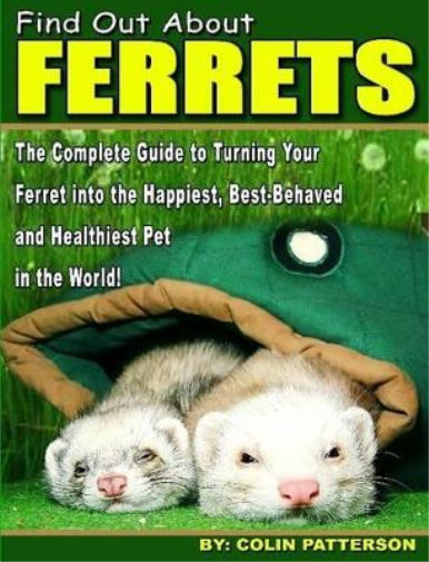 Find Out About Ferrets