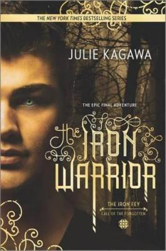 The Iron Warrior