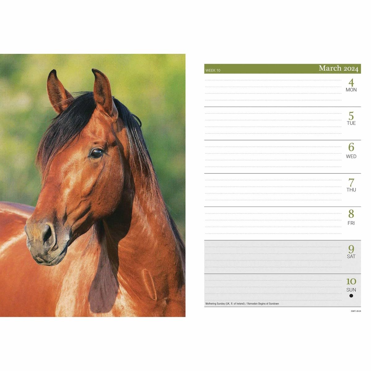 2024 Horses A5 Engagement Diary