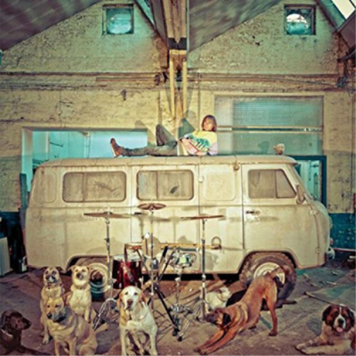 Chien D'la Casse