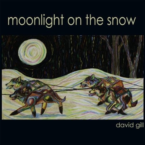 Moonlight on the Snow