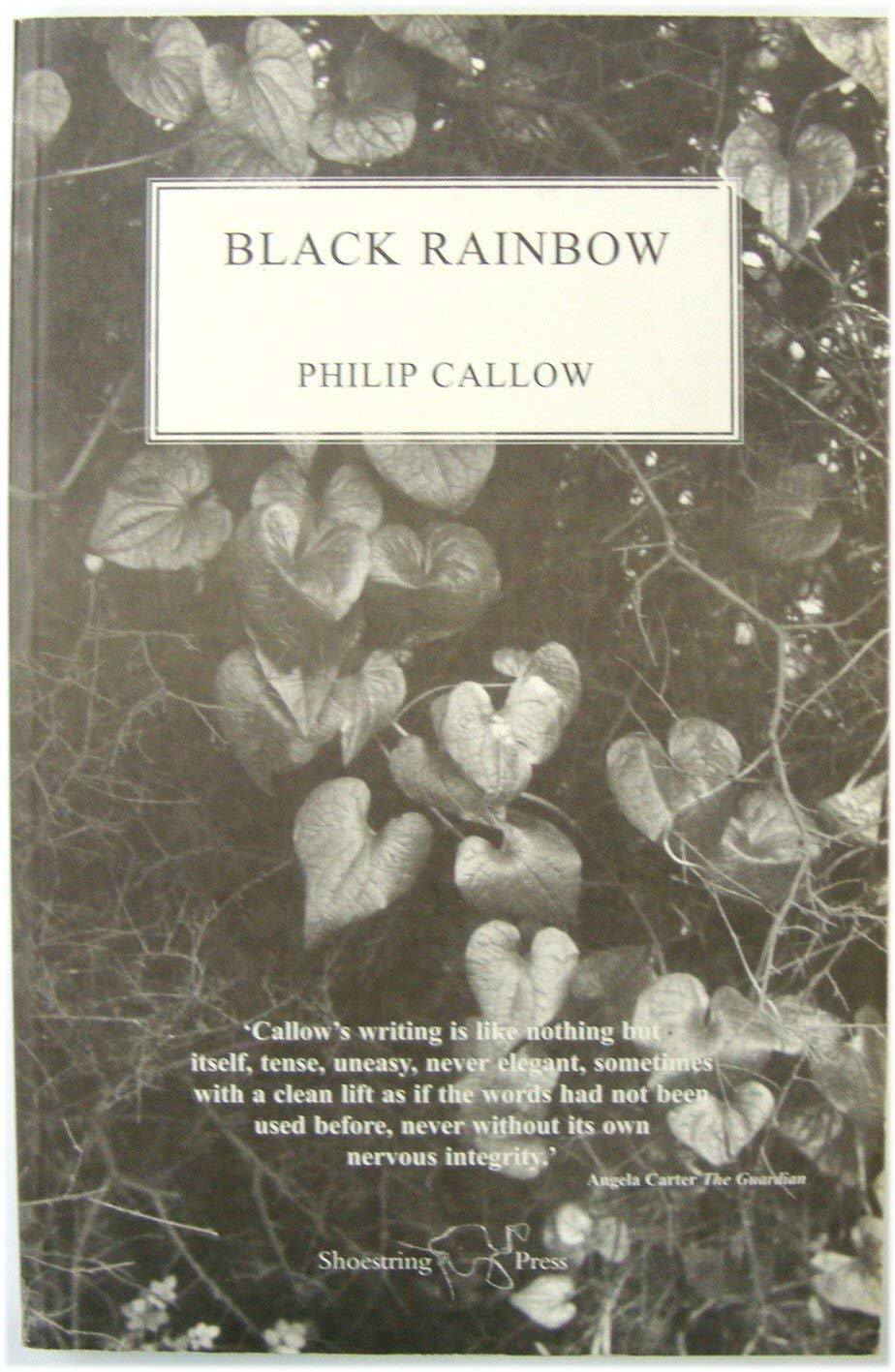 Black Rainbow