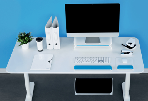 Esselte Ergo WOW Blue, White