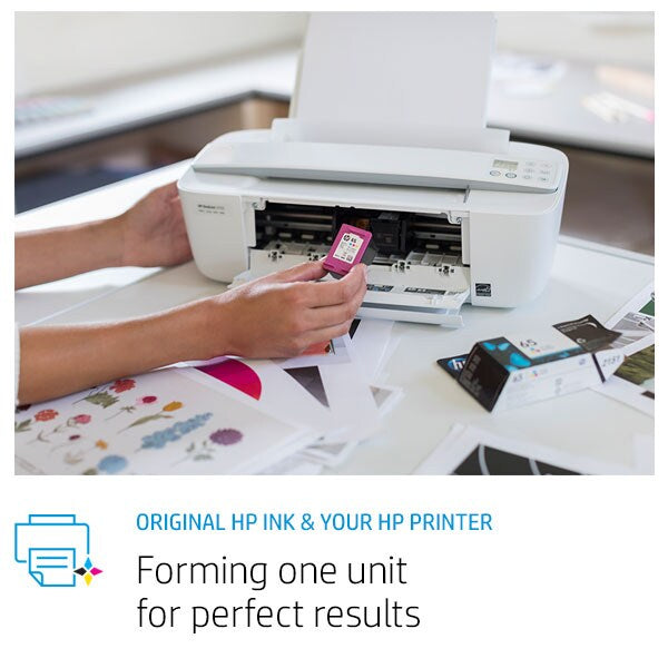 Original Ink Cartridge Hp 300Xl Black
