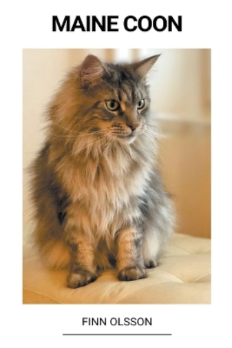 Maine Coon