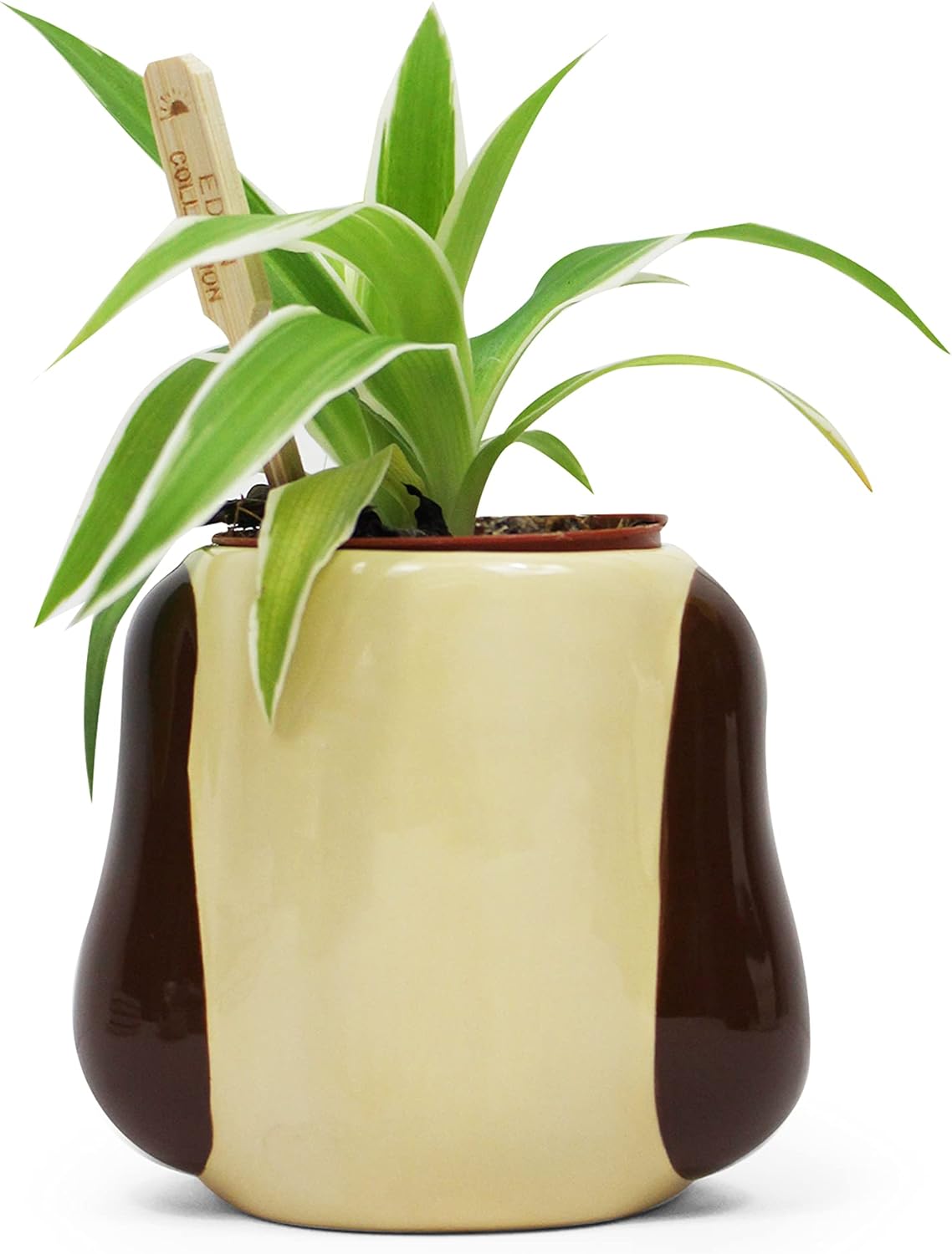 Wallace & Gromit: Half Moon Bay - Gromit (Plant Pot / Vaso Da Fiori)