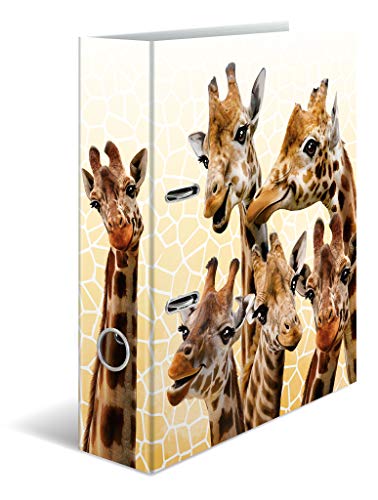 HERMA Motivordner Koalas 7,0 cm DIN A4