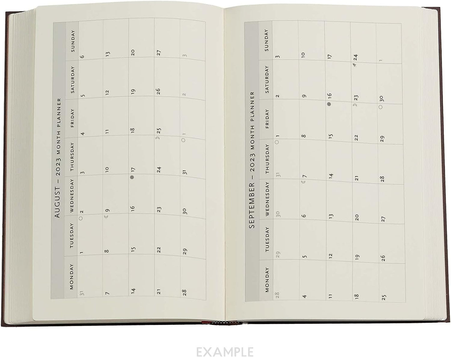 Destiny (Voltaire’s Book of Fate) Maxi Vertical Dayplanner 2023 (Elastic Band Closure)