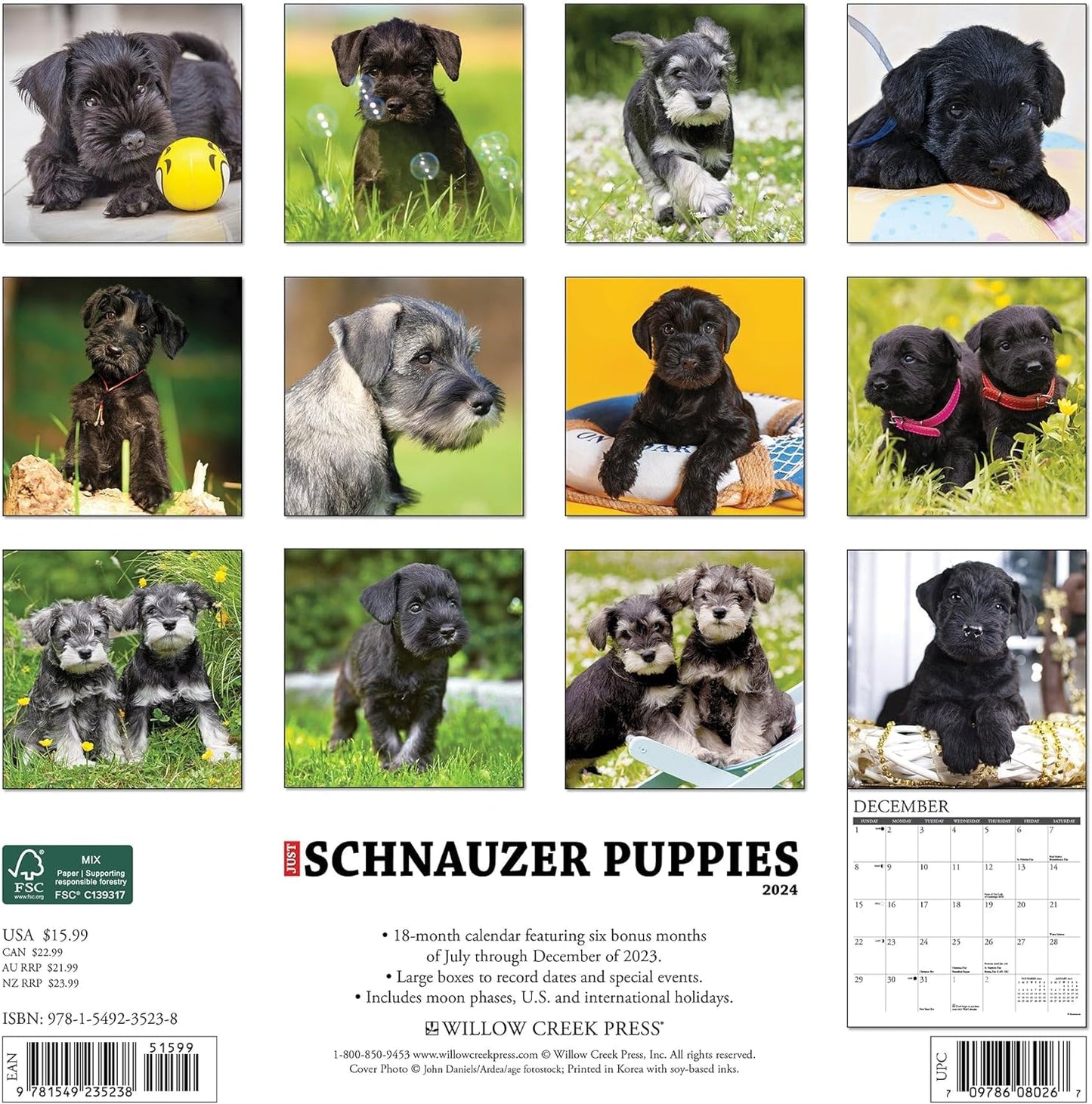 Just Schnauzer Puppies 2024 12 X 12 Wall Calendar