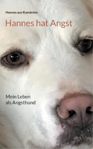 Hannes hat Angst