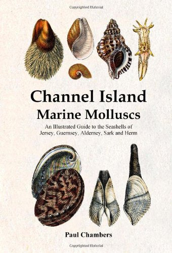 Channel Island Marine Molluscs