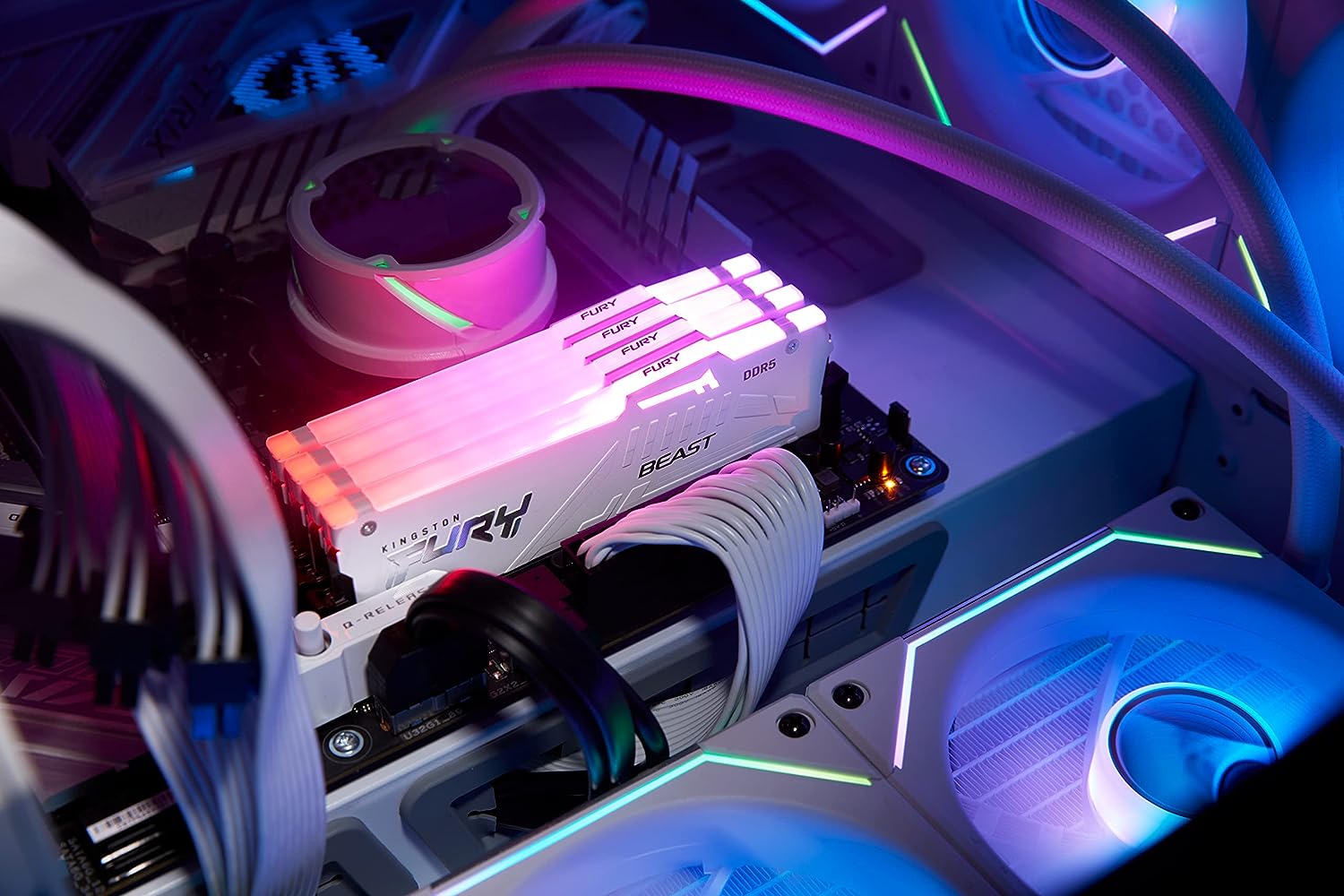 Kingston Fury Beast White RGB 16GB 5200MT/s CL40 DDR5 XMP DIMM | Infrared Syncing | Fury CTRL Software | Overclocking | Plug N Play | Intel XMP 3.0 | Single Module | KF552C40BWA-16 White 5200MT/s 16GB